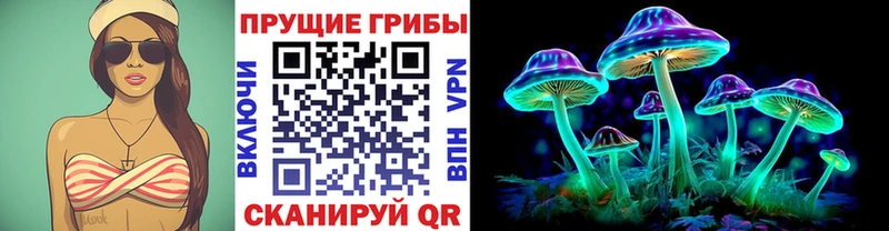 Псилоцибиновые грибы Psilocybe  Купить закладки  Избербаш 
