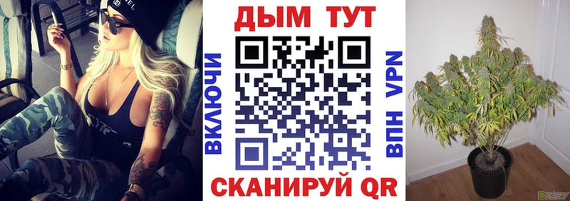 Купить закладки  Избербаш  Марихуана план 